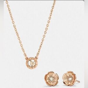 NEW Coach Rose Gold Necklace and Earring Set